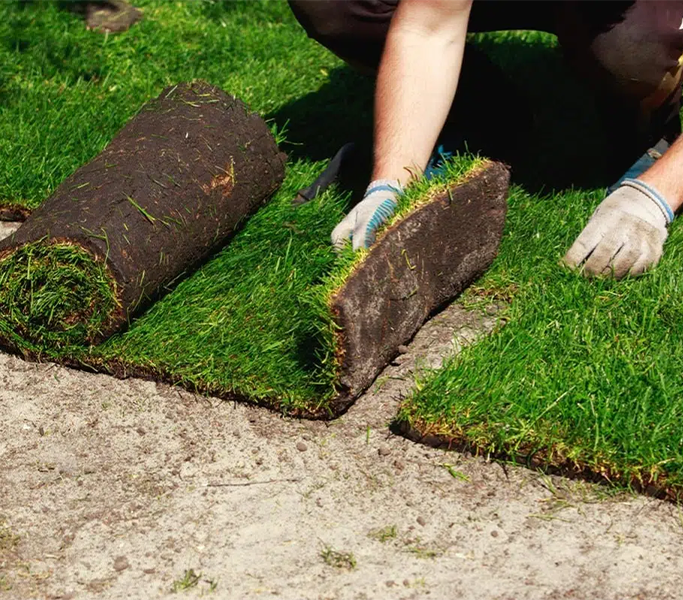 sod installation bautista lands caping