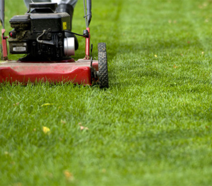 yard maintance service bautista landscaping